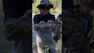 Fly Fishing in Colorado 🎣Trout FlyFishing Colorado [upl. by Karlee]