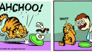 The Entire Lasagna Cat Garfield Comic Dub Collection NOT IN ORDER [upl. by Er]