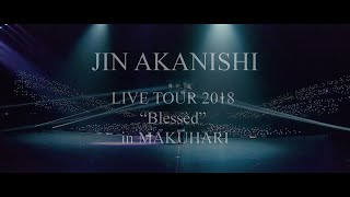 JIN AKANISHI 赤西 仁  LIVE TOUR 2018 “Blessèd” in MAKUHARI [upl. by Tse]