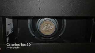 Celestion Ten 30 vs Celestion Gold 10  Princeton Reverb [upl. by Eidaj]