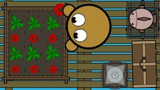 PLANTING TOMATOES RAAAAFTIO NEW UPDATE [upl. by Eladnor]