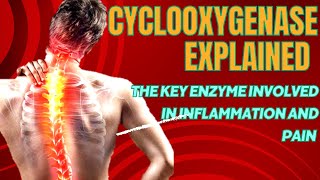 Cyclooxygenase Explained The Key Enzyme Involved in Inflammation and Pain [upl. by Anthia]