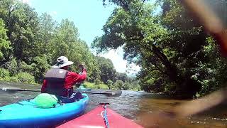 Kayaking the Tuckaseegee River  East LaPorte River Access to Webster River Access 742024 [upl. by Wilton]