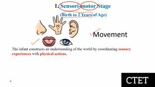 AZMAT ACADEMY  Jean piaget s 4thstage of cognitive development theory Important topic for ctet [upl. by Neliac]