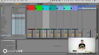 LoopLIVE Ableton for Beginners [upl. by Llertnad]