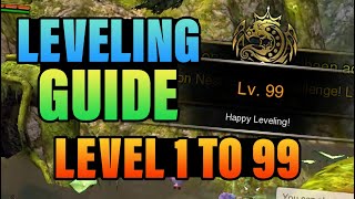 Leveling Guide MAIN QUEST For Beginners Dragon Nest SEA [upl. by Ennazzus]