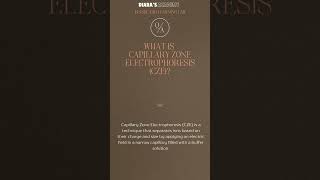 What is Capillary Zone Electrophoresis CZE Diarasacademy [upl. by Eirruc707]