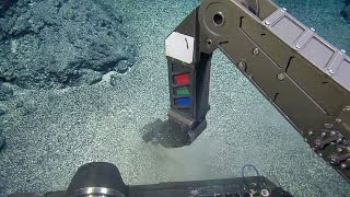 Seeking Clues on Seamounts Viewing Volcanic Formations  Nautilus Live [upl. by Vtehsta]