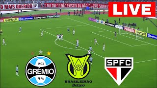 🔴GRÊMIO X SÃO PAULO AO VIVO COM IMAGENS  BRASILEIRÃO 2024  ASSISTIR JOGO AO VIVO AGORA [upl. by Darice]