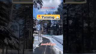 Patnitop 2 Days itinerary  patnitop hill station  patnitop snowfall patnitop jammu youtubeshorts [upl. by Christmas]