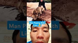 Man Playing With Lion😀 lion animals wildlife funny shortvideo [upl. by Mae946]