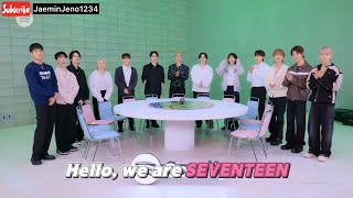 SUB INDO SEVENTEEN At Spotify KPop ON Playlist part3 [upl. by Mashe]