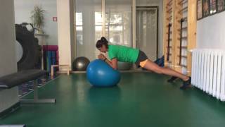 Stability Ball Ab Exercise Circles [upl. by Daisy]