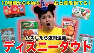 【超難問】10種類のディズニーランドのお土産から本物を見破らないと強制退国ですwww [upl. by Shute]