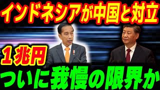 インドネシアが高速鉄道と資源開発をめぐり中国とついに対立関係に！ようやく目が覚めたジョコ大統領【その他１本】 [upl. by Nicole6]