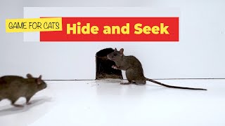 CAT GAMES Hide and Seek Mice Video for Cats to Binge Watch 🐀 mice videos for cats to watch [upl. by Euf]