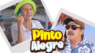 PINTO ALEGRE  NILTON PINTO E TOM CARVALHO [upl. by Ominorej]