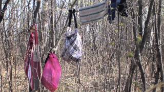 Alberta Centennial Girl Guide Camp 2013 [upl. by Alyehs]