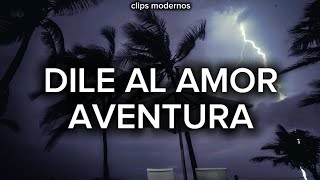 AVENTURA  DILE AL AMOR Letra Lyric Video [upl. by Kimbell562]