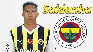 Matheus Saldanha ● Fenerbahce Transfer Target 🟡🔵🇧🇷 Best Goals amp Skills [upl. by Zadack]