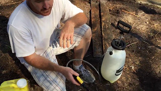 How to clean paver stepping stones also works for patio brick concrete rock [upl. by Lundin]