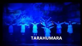 Tarahumara Carmen Equihua Coreografía percusiones y voz [upl. by Snashall311]