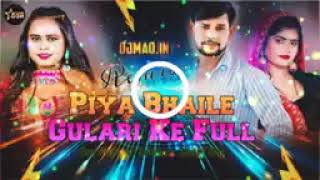 PiyaBhaileGulariKeFhoolDjRemixSong2024OmPrakashDiwanaShilpiRajDjShaileshRockMau [upl. by Aiynot]