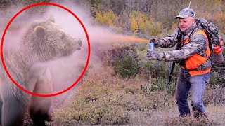 Man Uses Bear Spray on Grizzly But Instantly Regrets It [upl. by Notnerb]