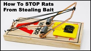 How To STOP Rats From STEALING bait with the Bait Cage Mousetrap Monday [upl. by Lesab]