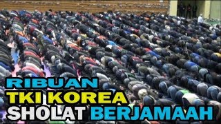 Reaksi quotOrang Korea Melihat Ribuan TKI Sholat Berjamaah [upl. by Jahncke]