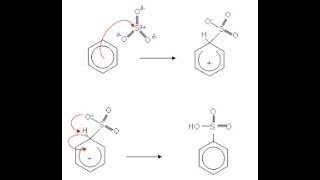 ميكانيكية تفاعل سلفنة البنزين العطرى Mechanism of Sulfonation of Benzene [upl. by Arick]