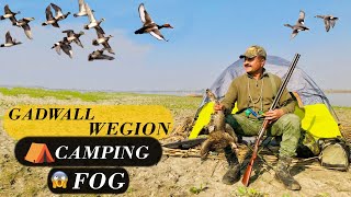 DUCK HUNTING IN PAKISTAN 2023 CAMPING  COOKING Excess Of Fog 😱  Adventure With Maqsood [upl. by Mile]