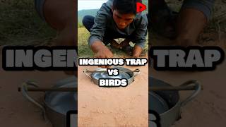 Ingenious Trap vs Birds 🪤🐦 [upl. by Neelyhtak81]