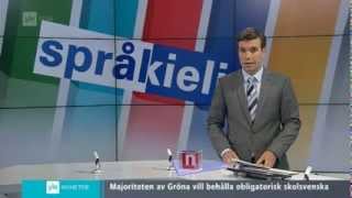 Pakkoruotsi  YLE Nyheter 2482013 [upl. by Darrin]