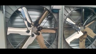 EXTRACTOR FANS  PART 1 WHAT ARE THEY AND INTRODUCTION TO THEIR APPLICATION [upl. by Chryste661]