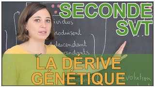 La dérive génétique  SVT Seconde  Les Bons Profs [upl. by Sel]