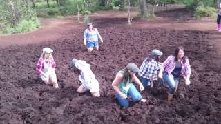 Bog Run at Causey Farm [upl. by Enyallij]