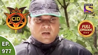 CID  सीआईडी  Ep 977 Jungle Mystery  Full Episode [upl. by Animas]