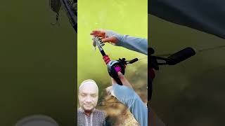 wow my god new fishing wow fishing fish carpfishing fishinglife new top justfishing [upl. by Ormand]