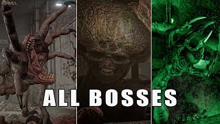 All BossesBoss Fights  VLADiK BRUTAL [upl. by Meece]