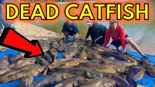 5000LBS Of DEAD Trophy CATFISH Unbelievable [upl. by Magavern224]