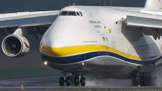 The 2nd  BIGGEST ANTONOV in the WORLD  Antonov An124 LANDING 4k [upl. by Bremser206]