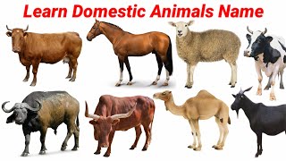 Domestic Animals Name in English  Animals Video for kids  How to read Animals Name  cow [upl. by Minna360]