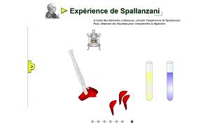 Expériences historiques de Spallanzani [upl. by Lune]