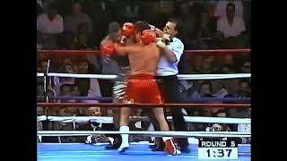 Roy Jones Jr vs Vinny Pazienza  Highlights [upl. by Noby]