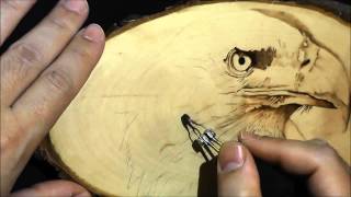 Pyrography project 42 [upl. by Notak]