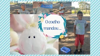 O coelho mandou [upl. by Eilak67]