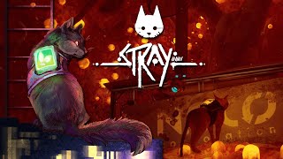 They Wont Stop Until They Eat EVERYTHING 🐈🤖 Stray • 5 [upl. by Shanleigh]