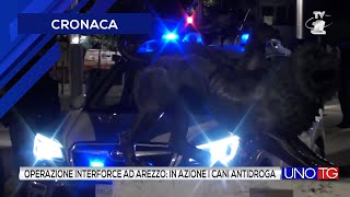 Operazione interforce ad Arezzo in azione i cani antidroga [upl. by Rosette]