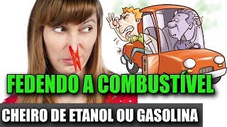 ALTO CONSUMO e um FORTE CHEIRO de combustível Gasolina Alcool Etanol  Milan Dark [upl. by Acinnod529]